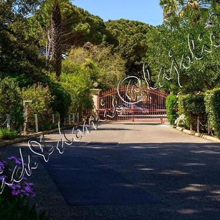 Magnifique Parc De La Presqu'Ile Avec Piscine Et Plage Face A Porquerolles ! Ιέρ Εξωτερικό φωτογραφία