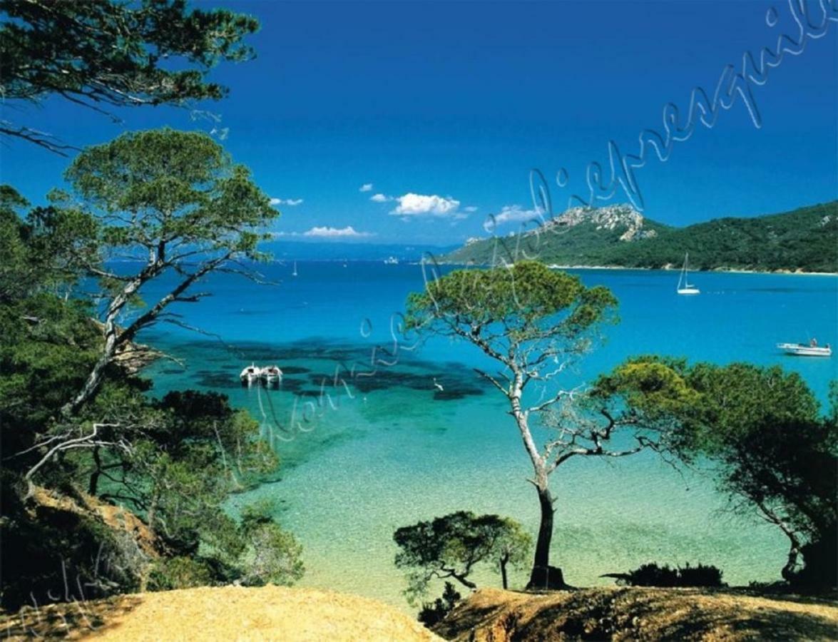 Magnifique Parc De La Presqu'Ile Avec Piscine Et Plage Face A Porquerolles ! Ιέρ Εξωτερικό φωτογραφία