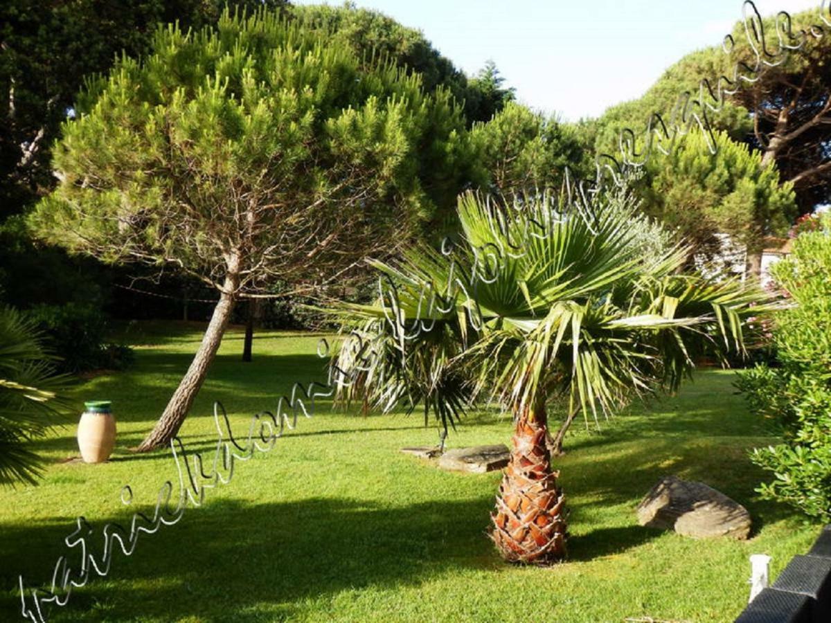 Magnifique Parc De La Presqu'Ile Avec Piscine Et Plage Face A Porquerolles ! Ιέρ Εξωτερικό φωτογραφία