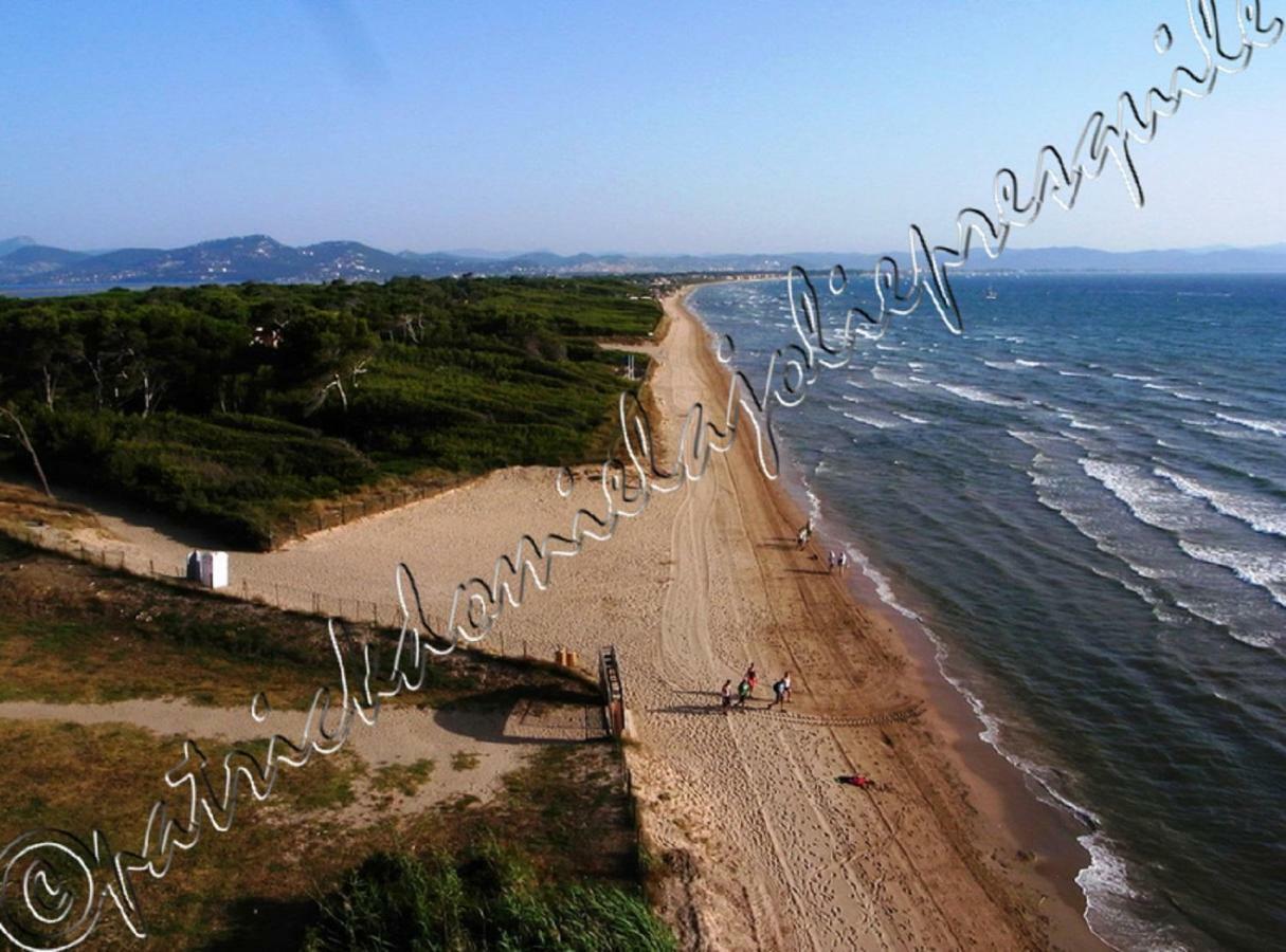 Magnifique Parc De La Presqu'Ile Avec Piscine Et Plage Face A Porquerolles ! Ιέρ Εξωτερικό φωτογραφία